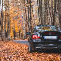 manutenzione auto in autunno